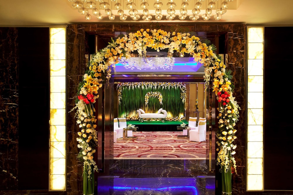 Radisson Blu Plaza Hotel Delhi Airport 9/76