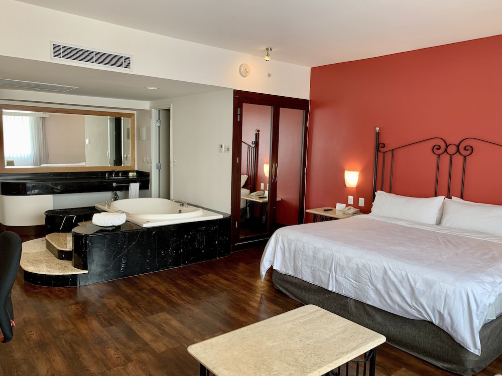Holiday Inn & Suites Guadalajara Centro Historico 18/50