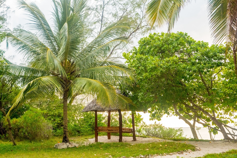 Pemba Lodge 35/50