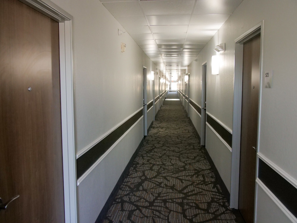 Wingate by Wyndham Louisville Fair and Expo 26/60