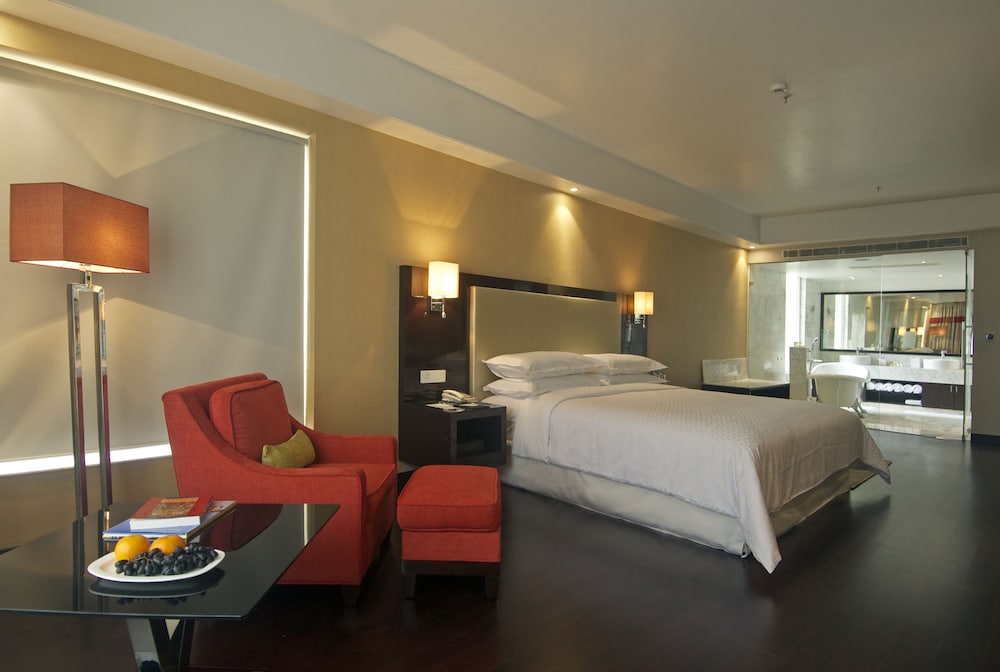Radisson Hotel Agra 21/68