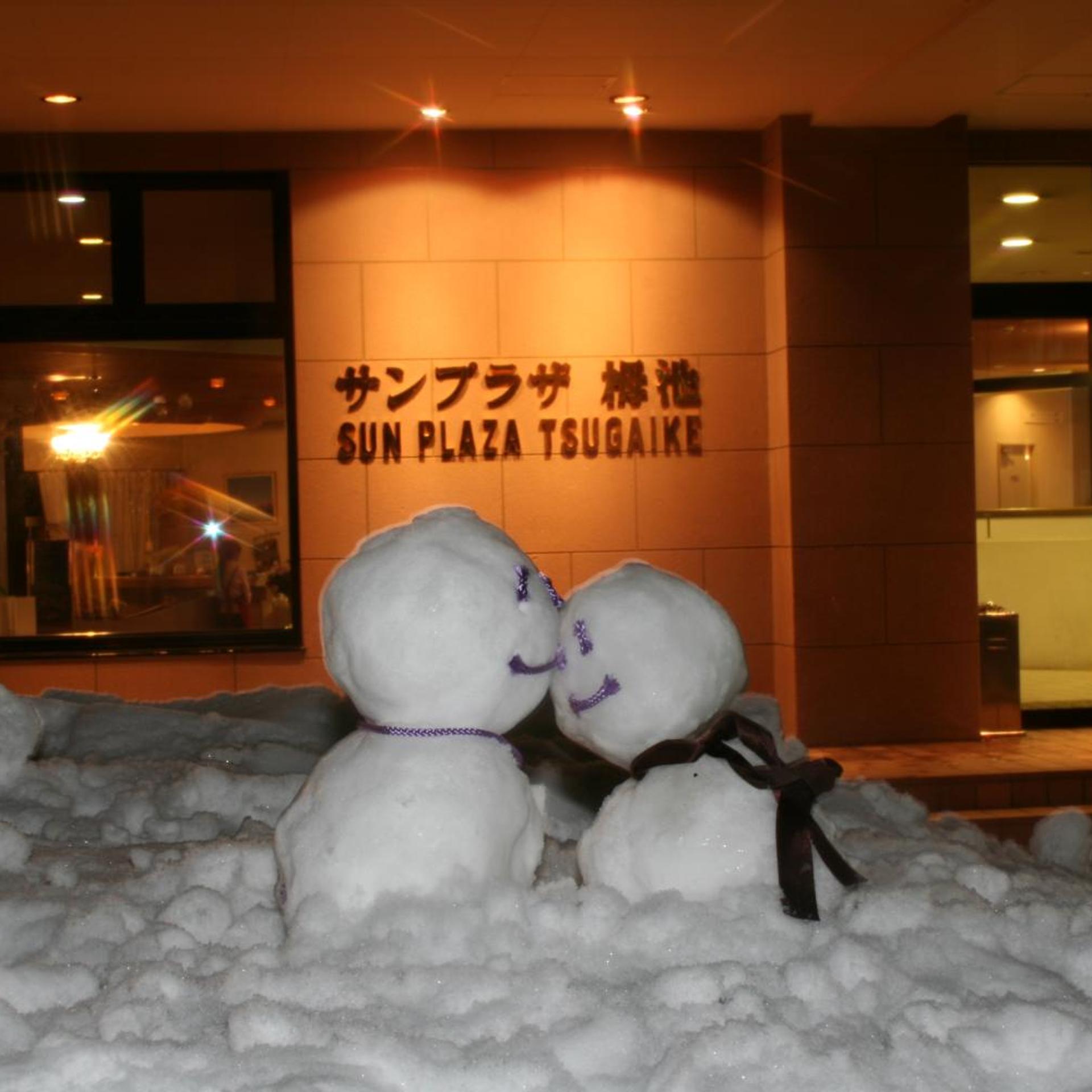 Hotel Sun Plaza Tsugaike 35/55