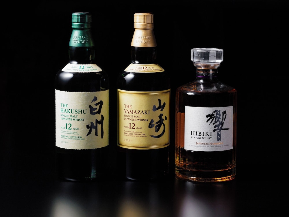 Hakuba Tokyu酒店(Hakuba Tokyu Hotel) 图片2