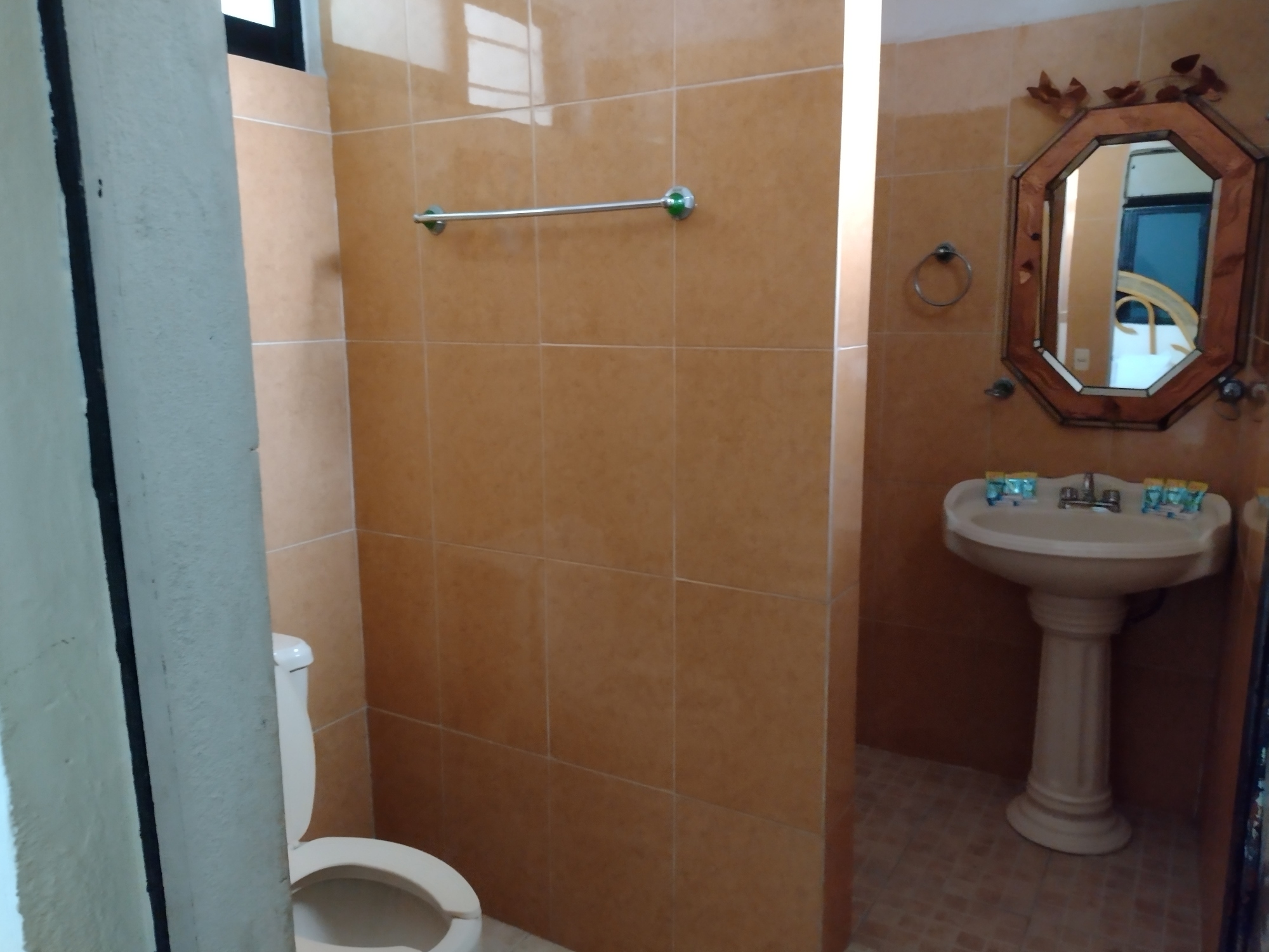 فيلا بإطلالة على الفناء، Hotel Ashly 4/4