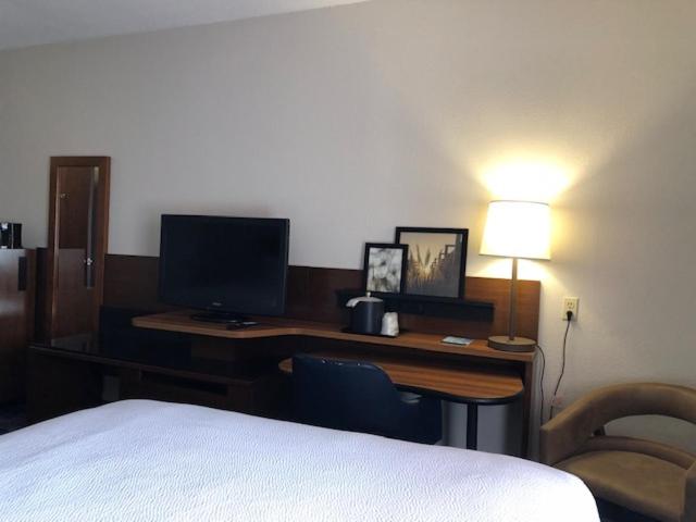 Suite, King Bed