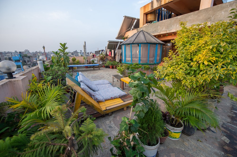 Hotel Pomelo House 35/44