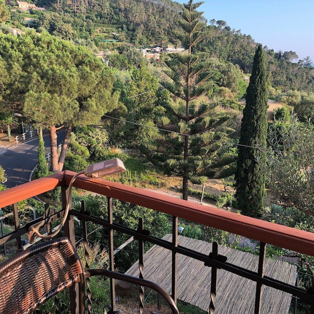 Hotel Belvedere 10/11