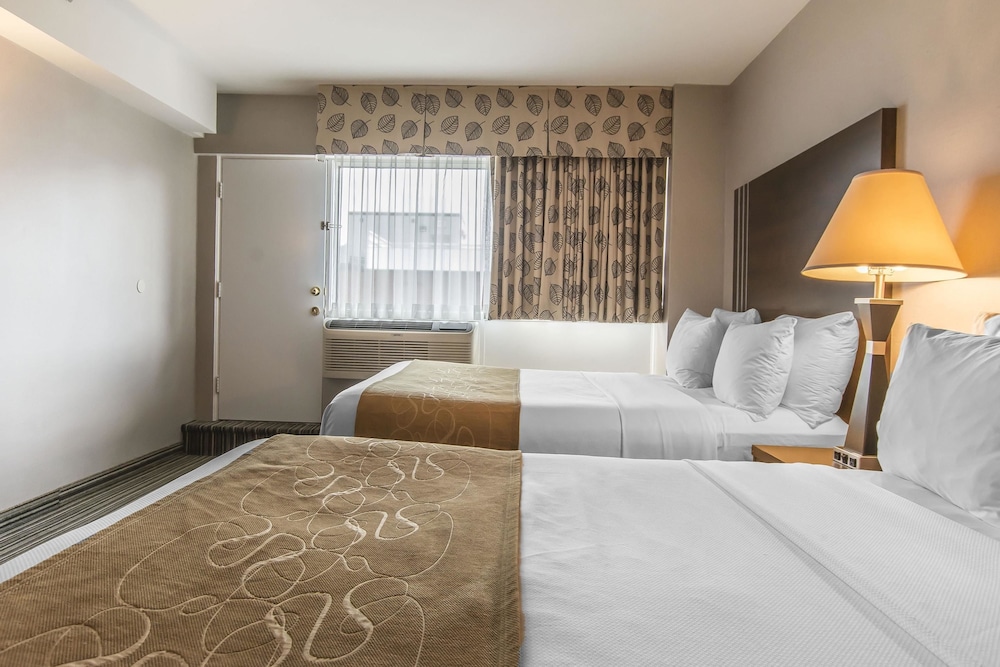 Comfort Suites Downtown Montreal 37/49