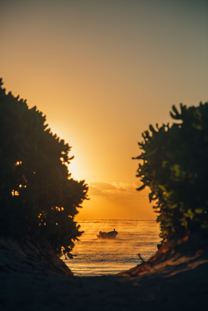 Glamp Ikal Tulum 49/49