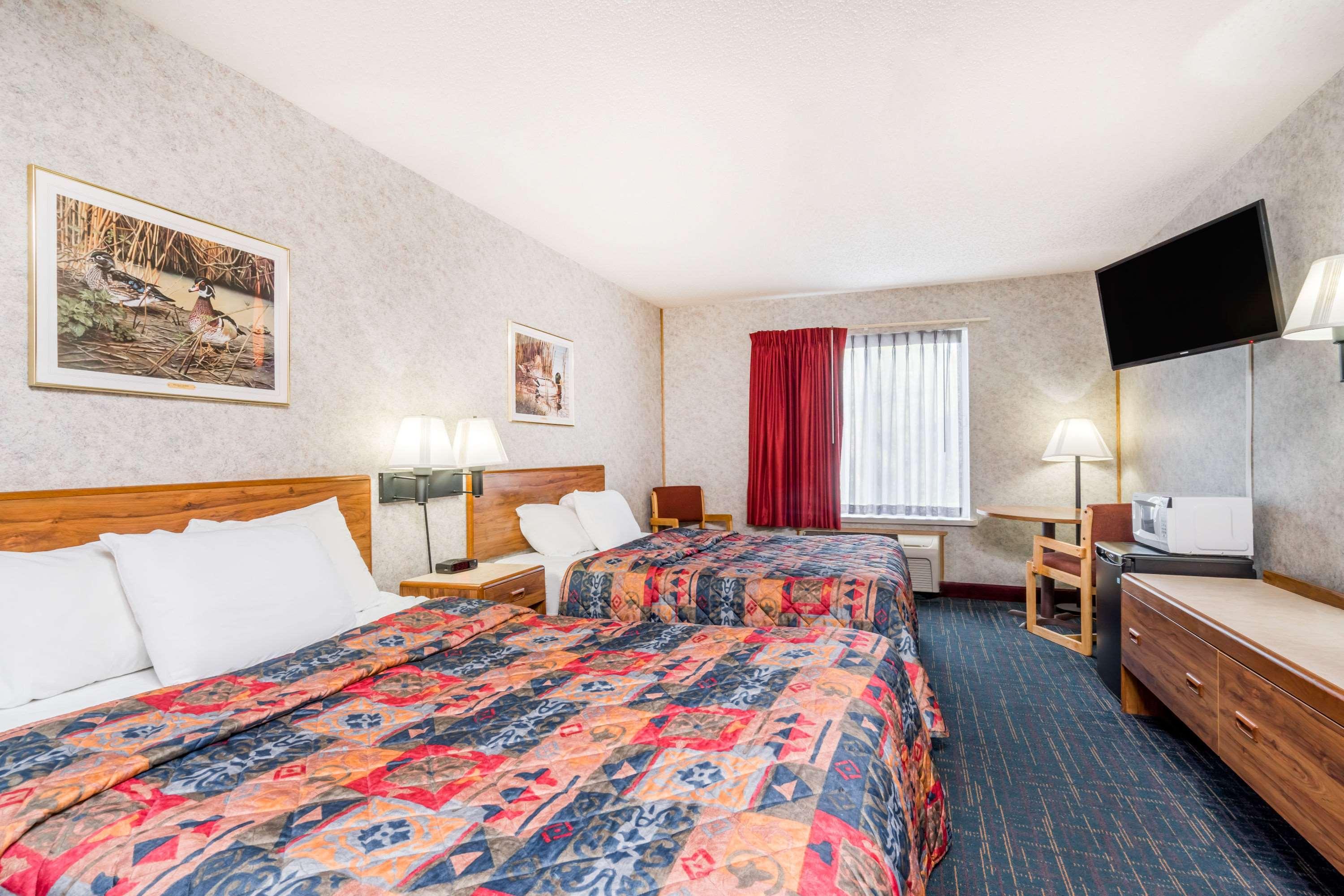 Suite, 1 Queen and 1 Single Bed