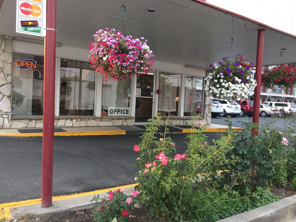 Cougar Land Motel 62/64