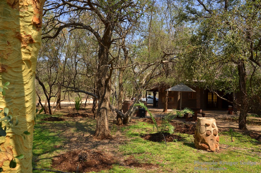 Phumula Kruger Lodge 54/66