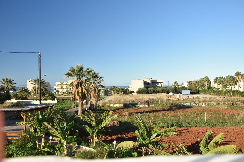 Malia Studios Apartments Malia 67/75