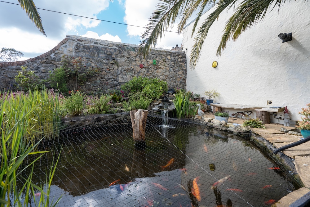 The Cedars B&B 49/56