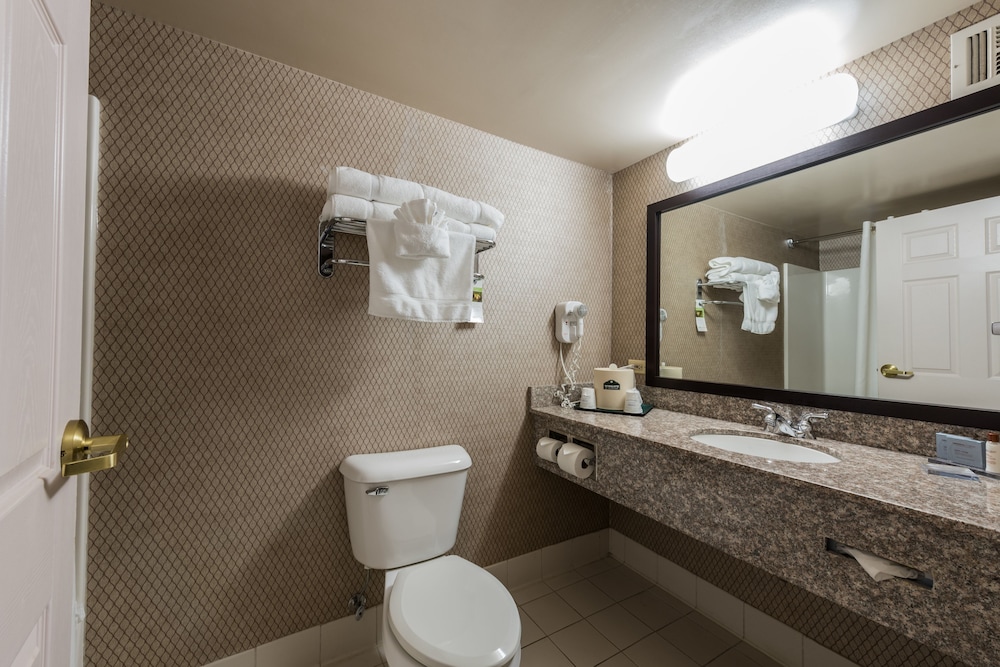 Wingate by Wyndham Schaumburg / Convention Center 27/72