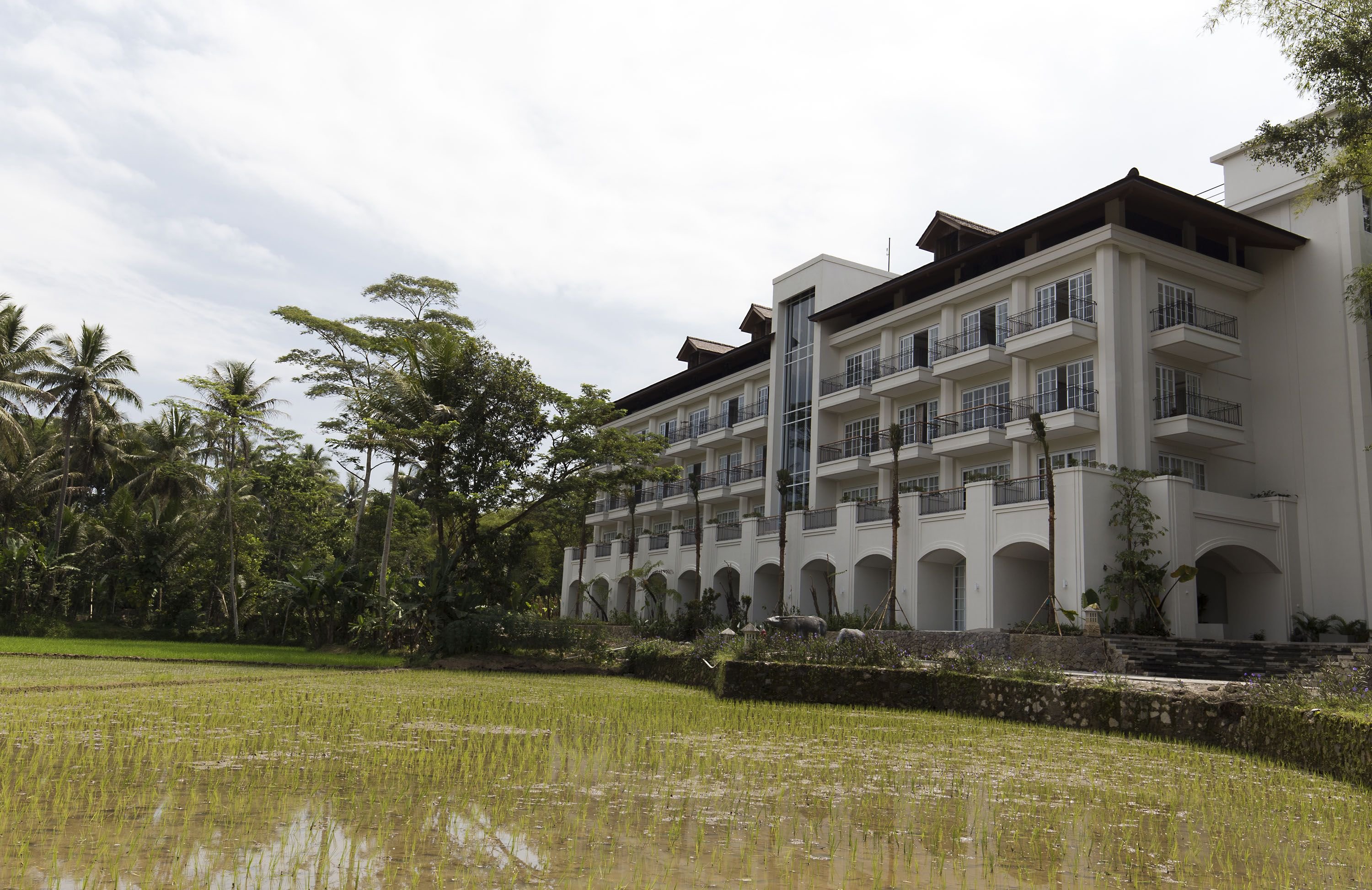 Plataran Heritage Borobudur Hotel Convention 6/56