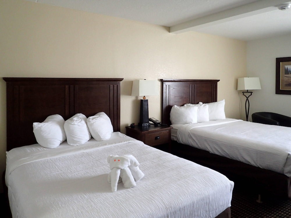 Ramkota Hotel And Conference Center 7/64