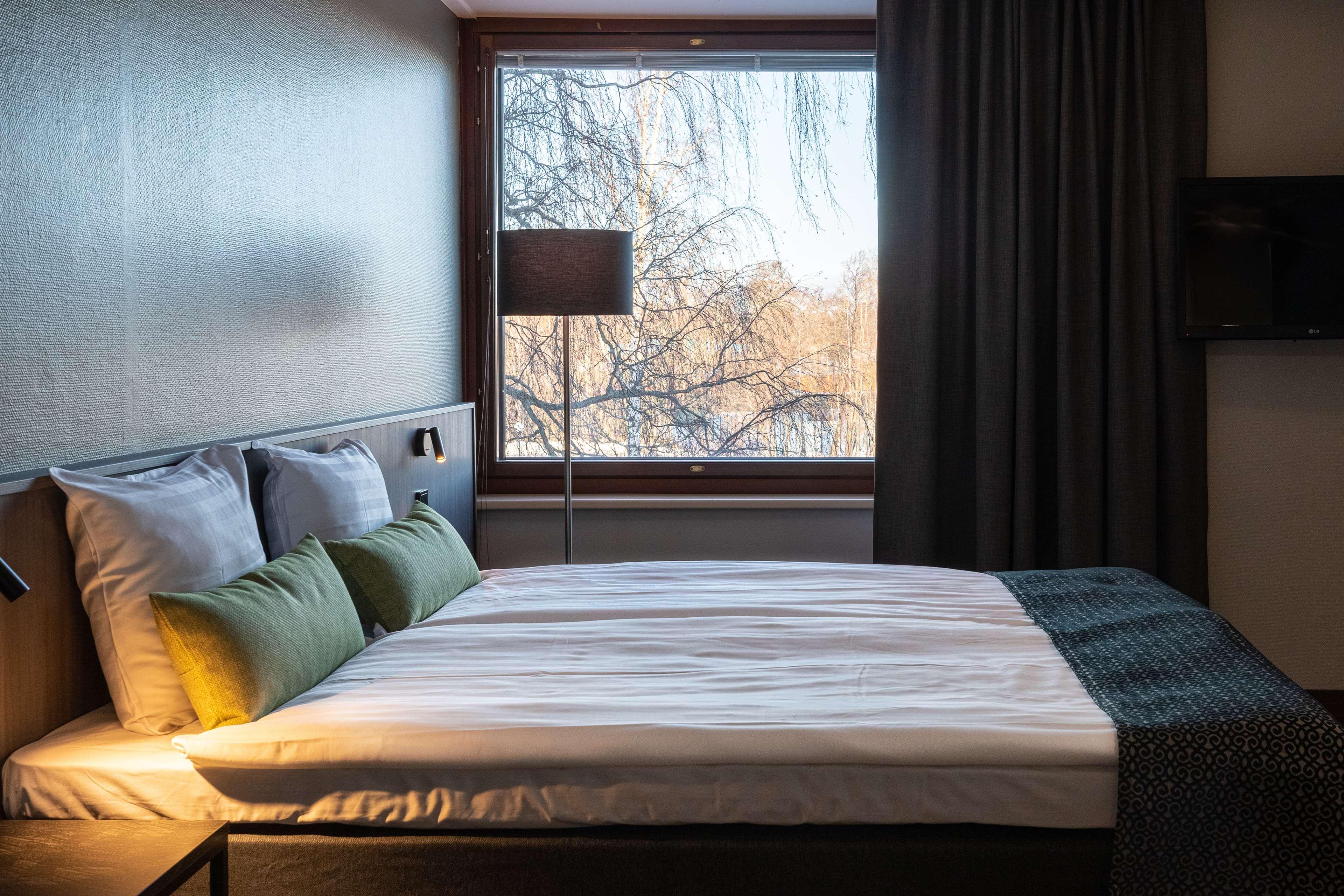 Plus, Superior, Single, Queen Bed