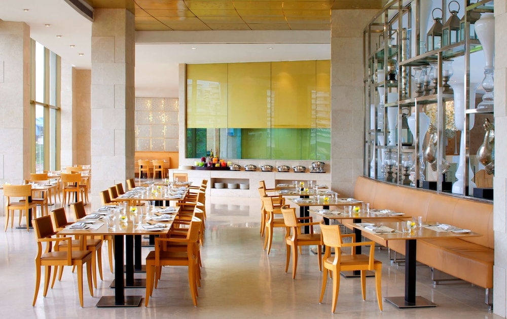 Radisson Blu Hotel, New Delhi Dwarka 35/50