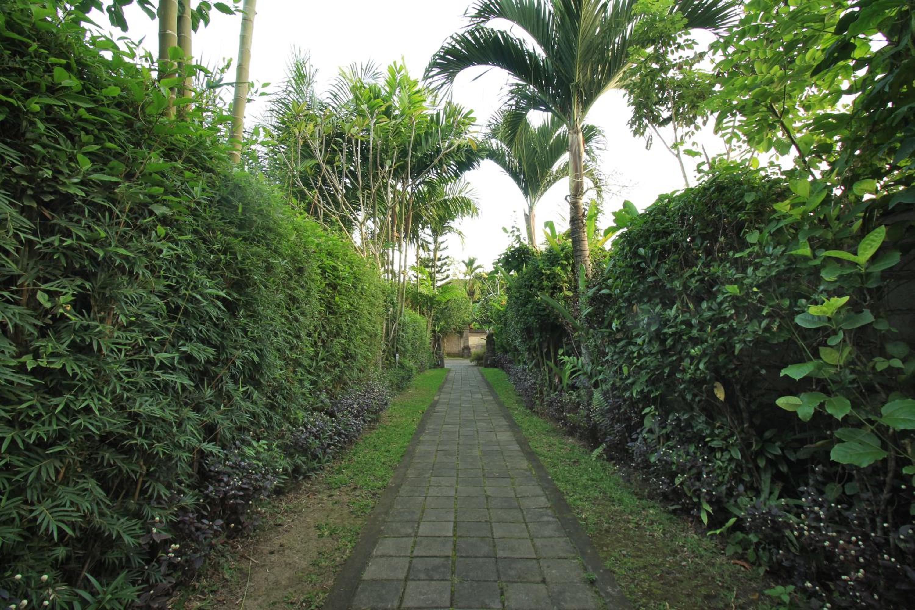 Nara Ubud Cottage 24/28