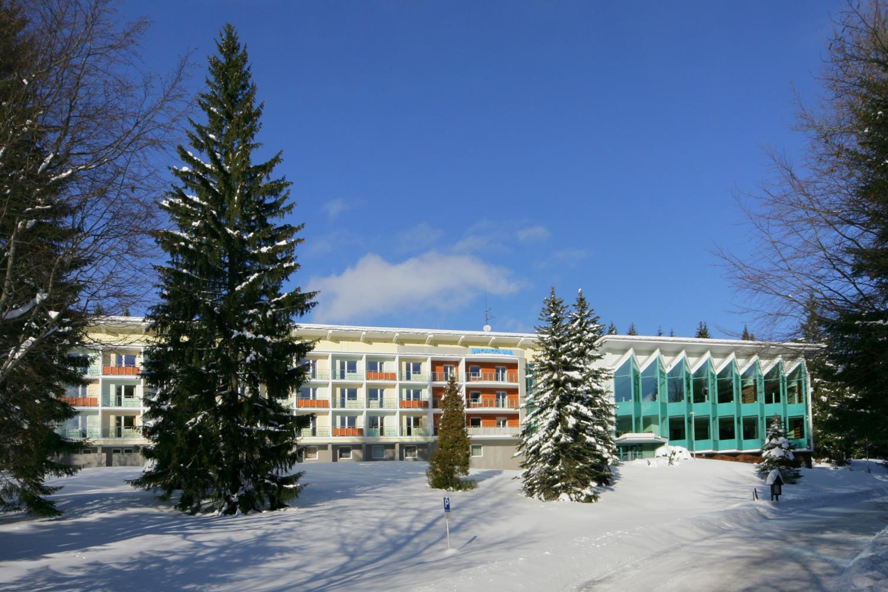 Interhotel Montana 5/58