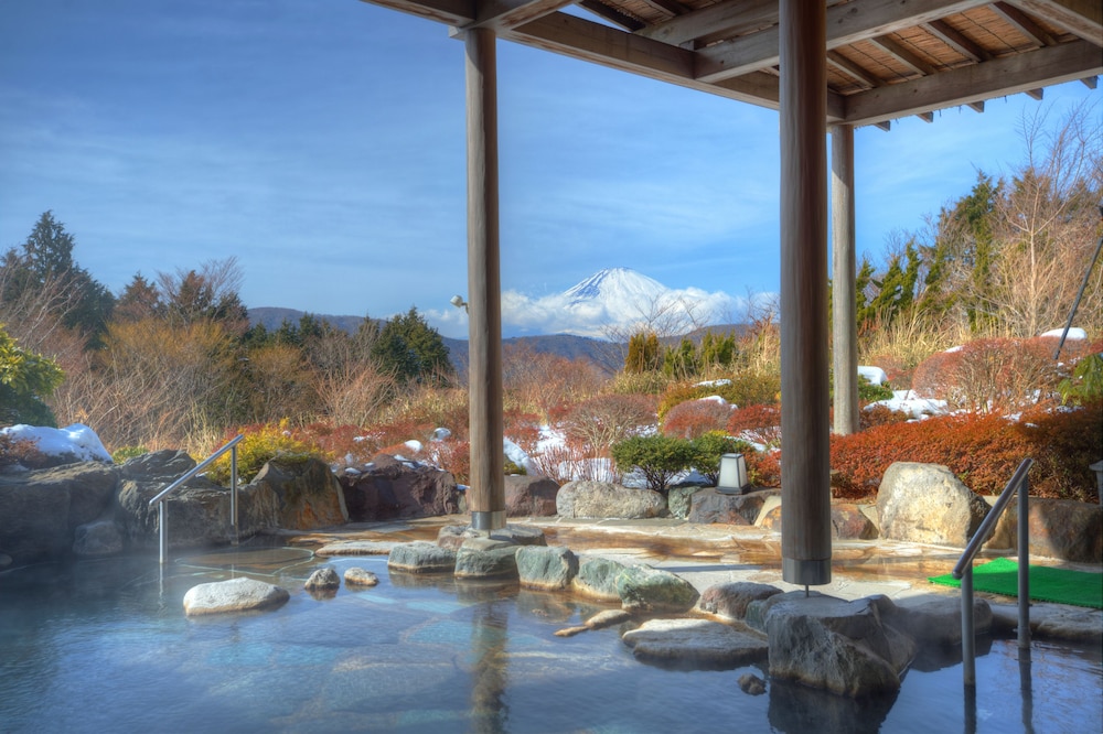 Hotel Green Plaza Hakone 23/50