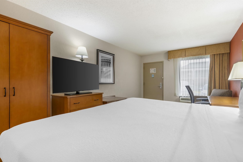 Standard, King Bed