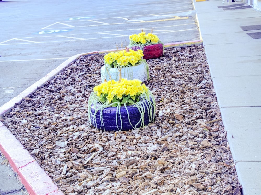 Travelodge by Wyndham Miles City 33/60