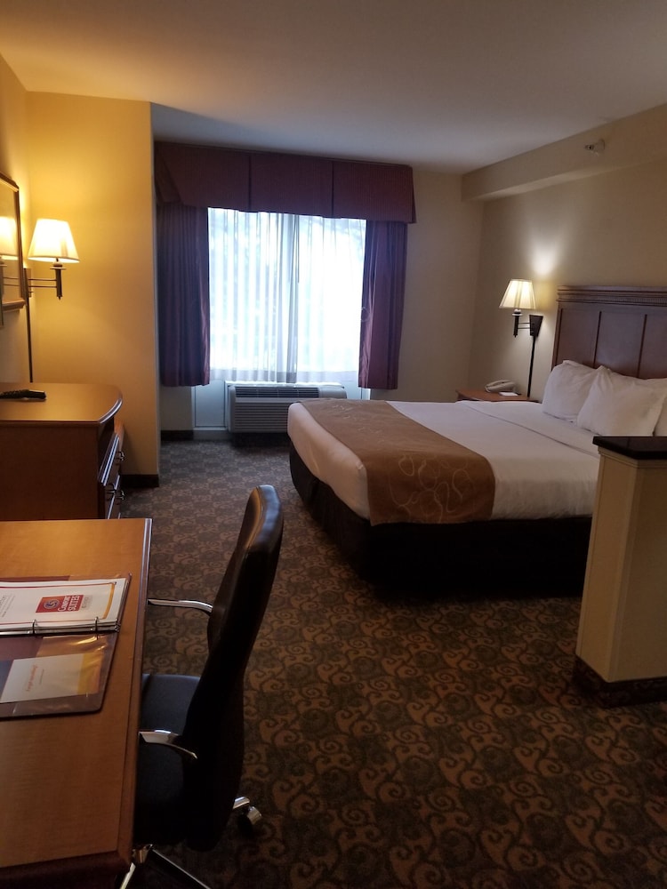 Comfort Suites Valdosta Mall Area 18/45