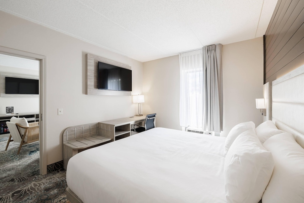 Upgrade, Suite, King Bed