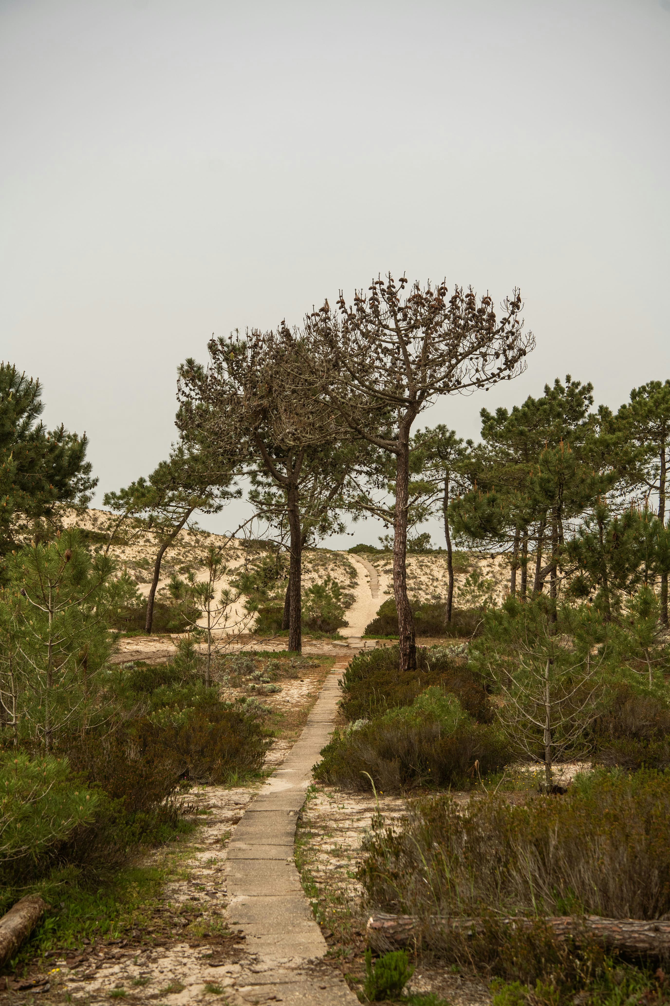 Quinta da Comporta - Wellness Boutique Resort 45/50