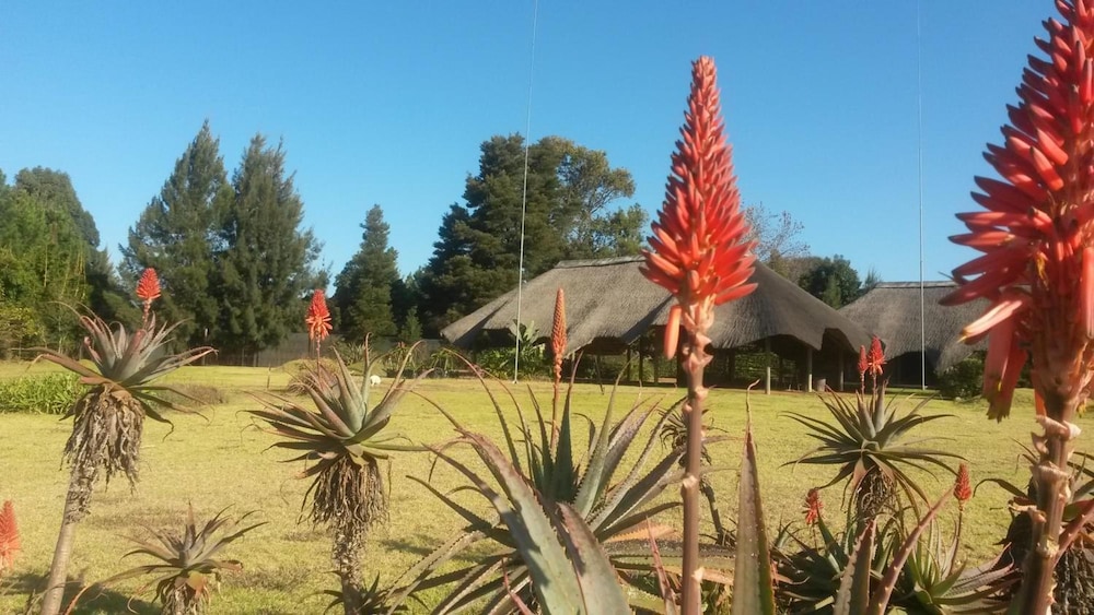 African Flair Country Lodge 24/26