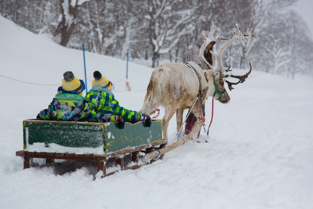 The Green Leaf Niseko Village, Tapestry Collection by Hilton 3/29