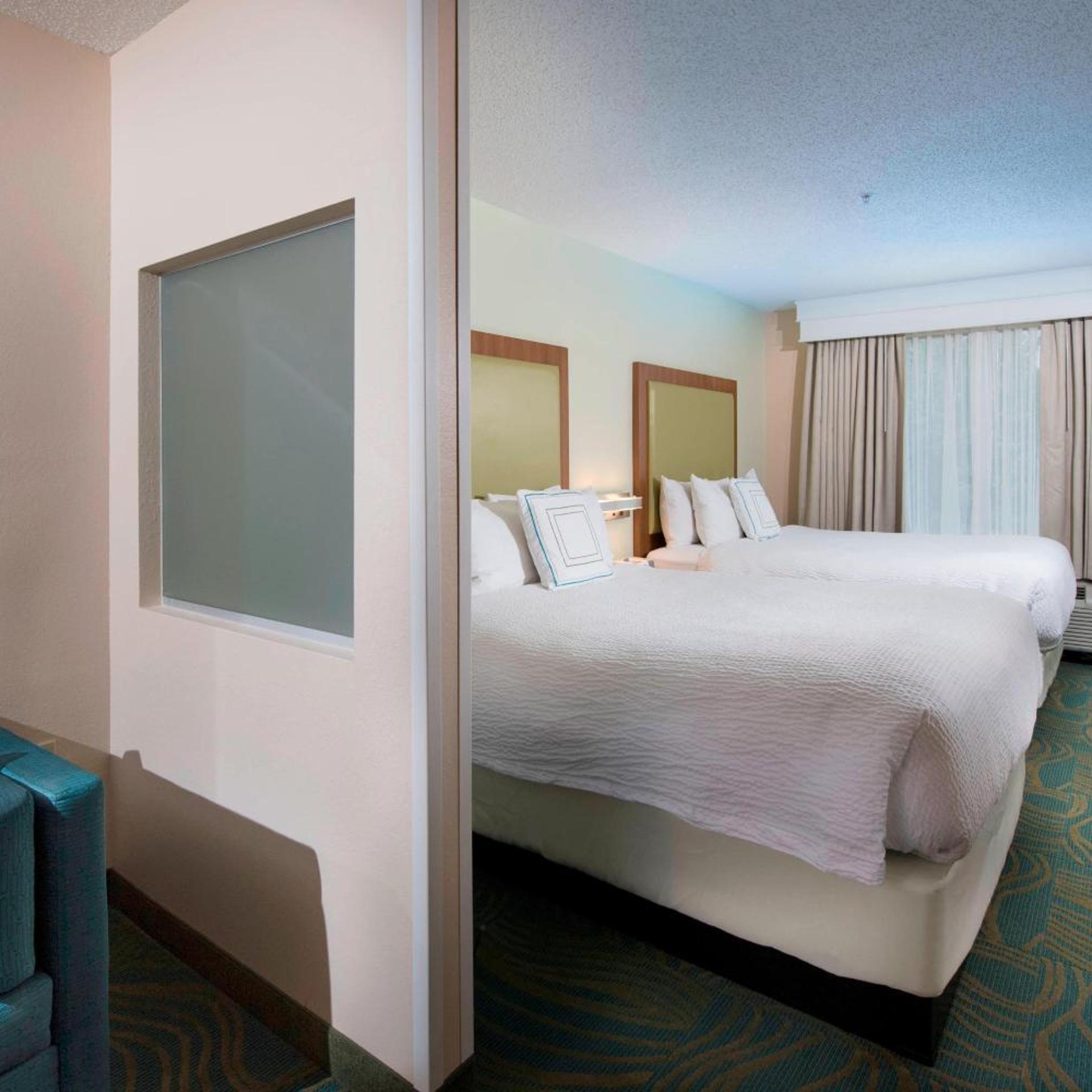 Suite, Queen Bed
