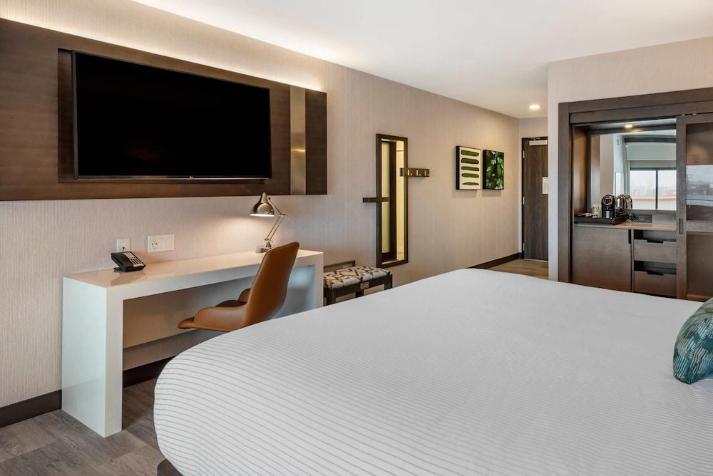 Standard, King Bed