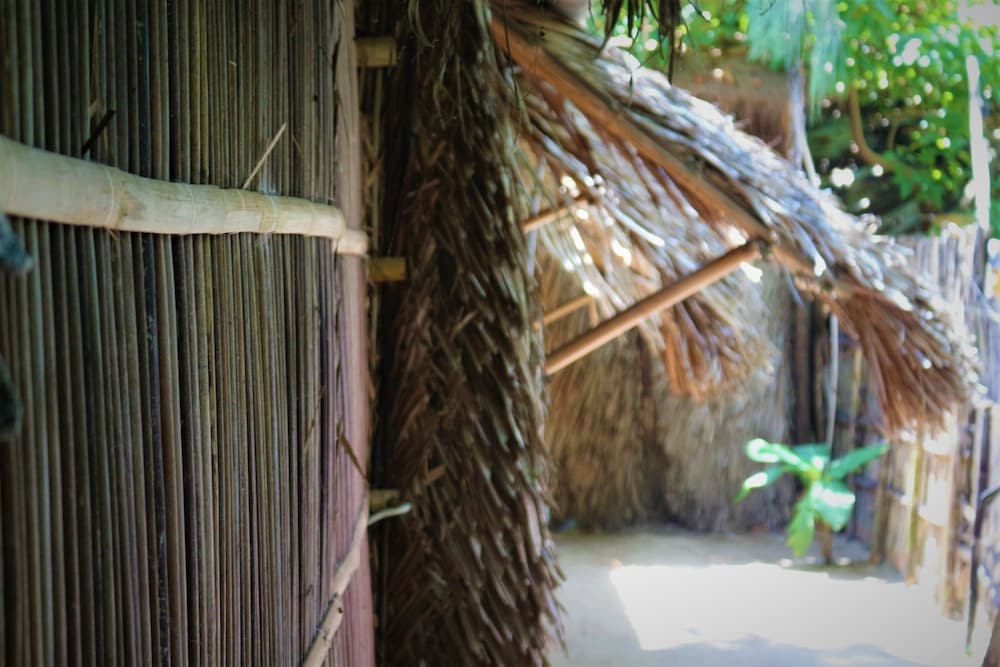 Under The Coconut Tree 4/50