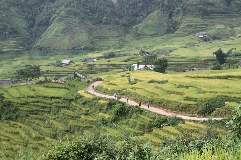 Lacasa Sapa Hotel (Ex. Hoang Ha Sapa Hotel) 3/78