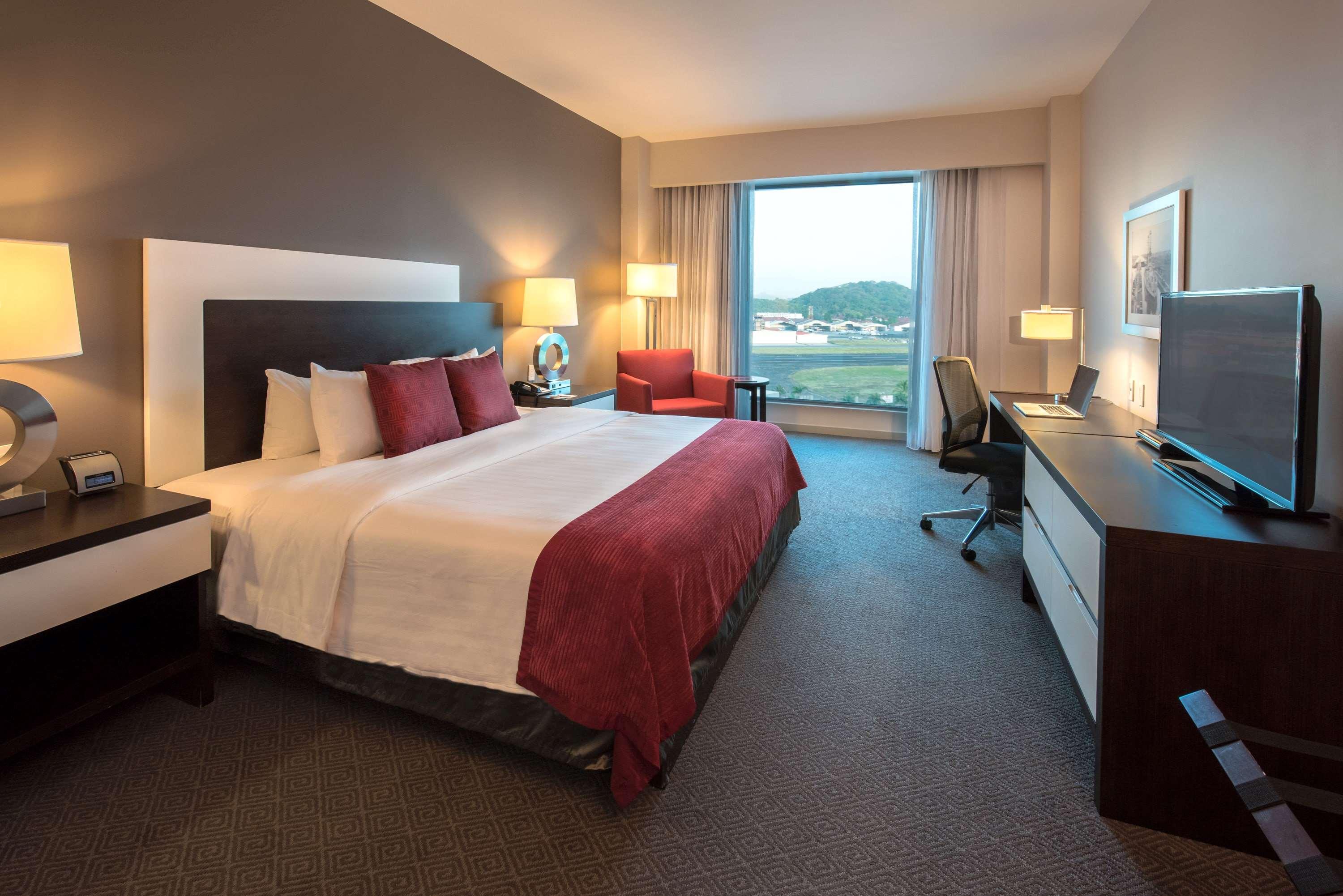 Suite, King Bed