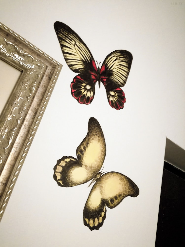 Art Hotel Bohema 8/50