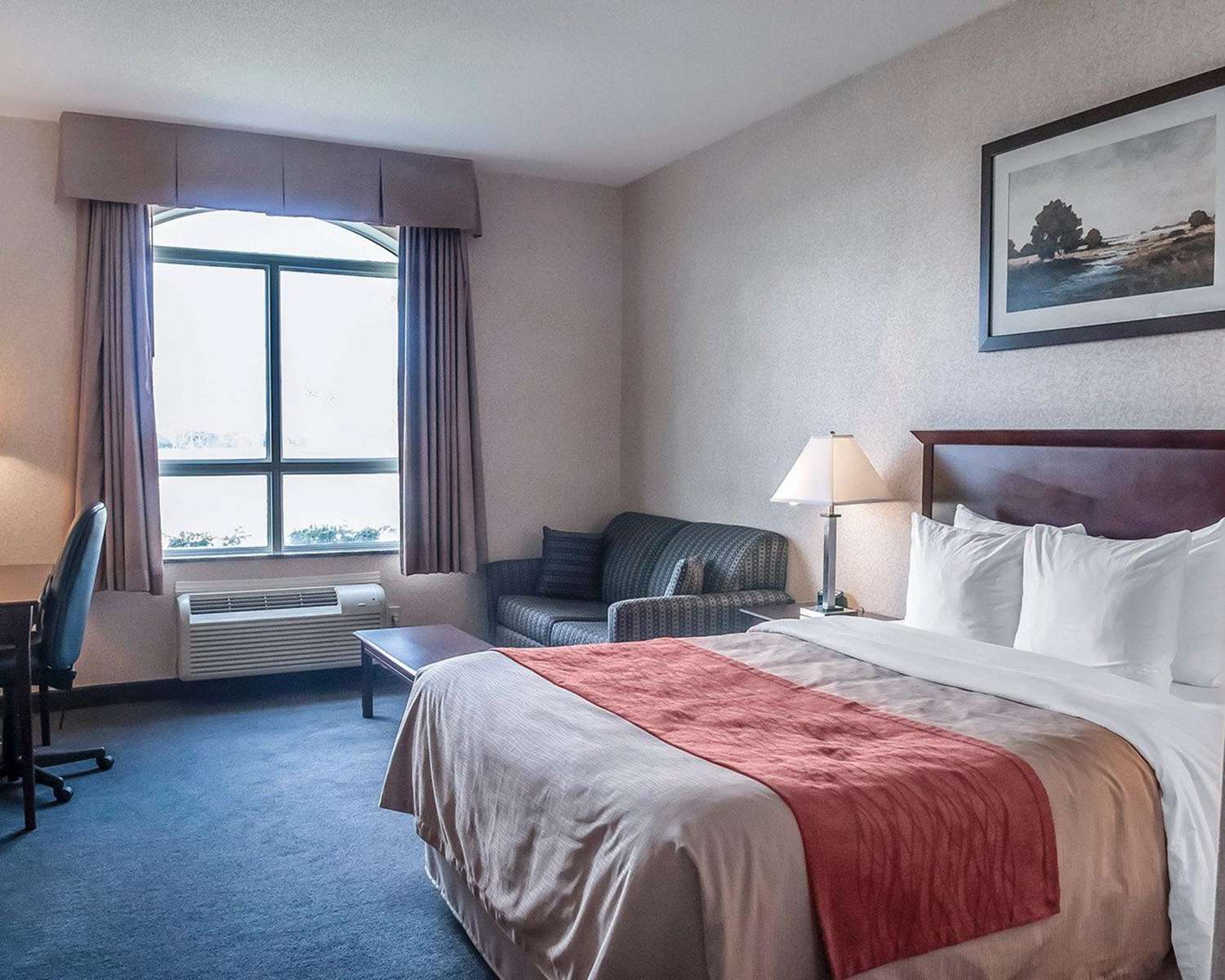 Room, Queen Bed