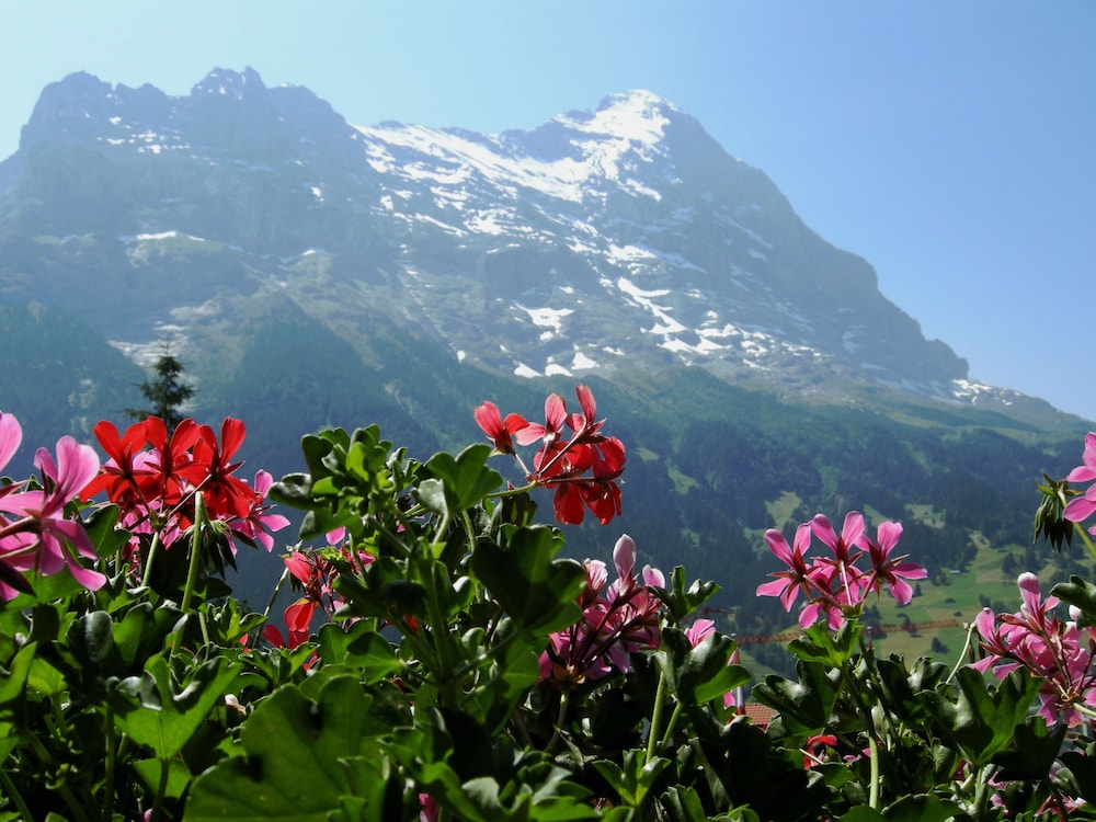 Hotel Alpenhof 50/57