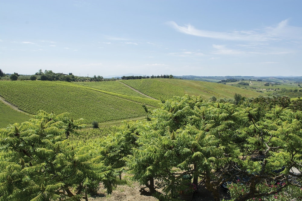 Belvedere Di San Leonino 24/50