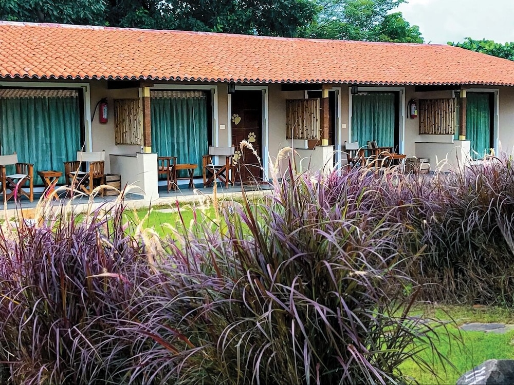Asiatic Lion Lodge 38/50