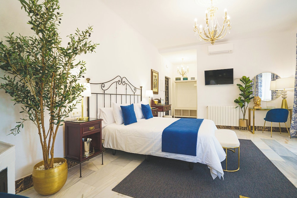 Hotel Boutique Palacio De La Duquesa 13/50