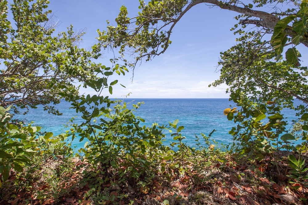 Frenchmans Cove 60/72