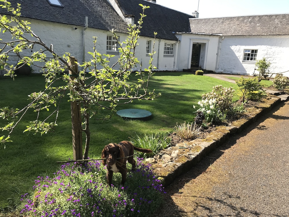 South Craighall Bed & Breakfast 21/50