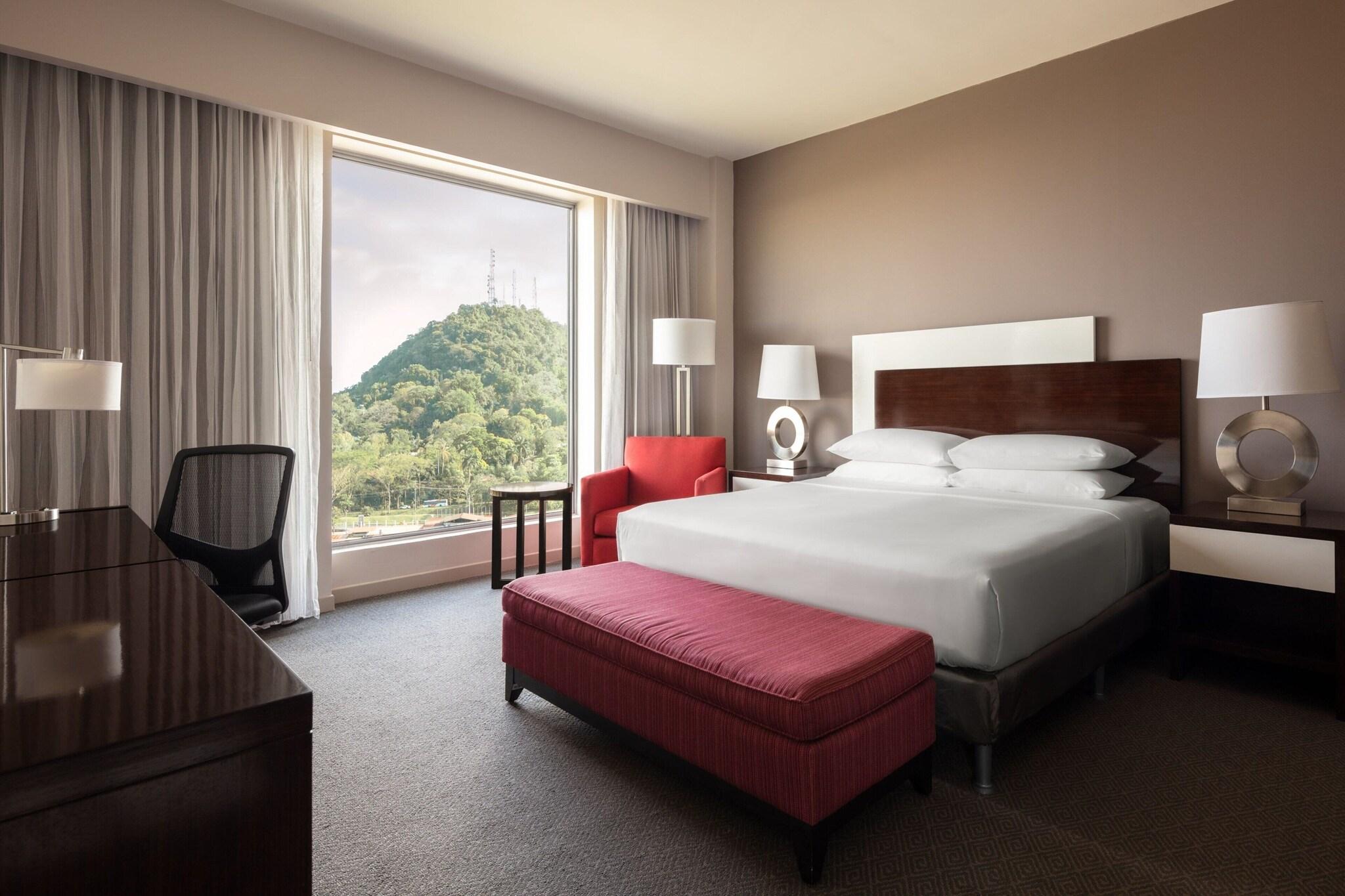 Room, King Bed