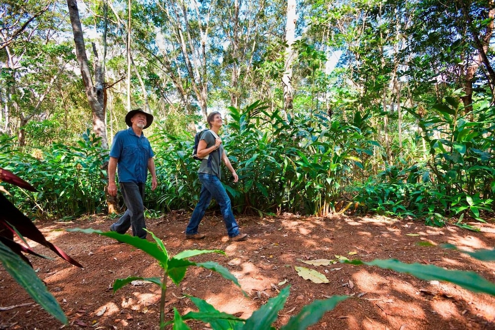 Rose Gums Wilderness Retreat 19/67