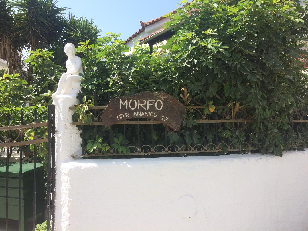 Pettite Morfo 21/21