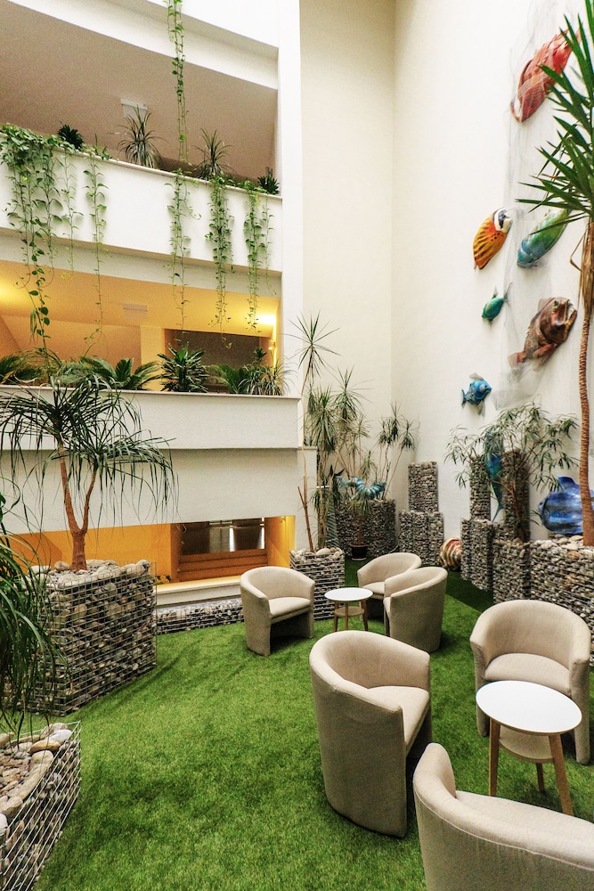 Carine Hotel Delfin 20/40